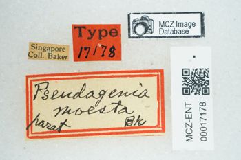 Media type: image;   Entomology 17178 Aspect: labels